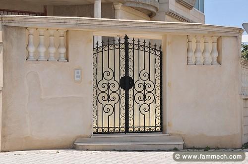 Bonnes Affaires Tunisie | Collections | PORT FER FORGE A VENDRE