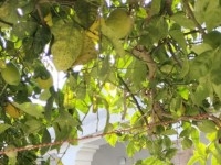 maison indépendante près de toutes commodités maison indépendante près de toutes commodités