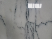 marbre importé lustré Flore Albo 96639639
