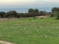 terrain agricole près de la mer terrain agricole près de la mer