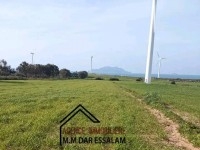 terrain agricole près de la mer terrain agricole près de la mer