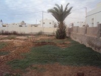 Terrain de 1430 m² Route EL AIN km 2